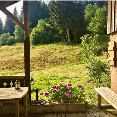 Chalet Chez Odile Avec Sauna *