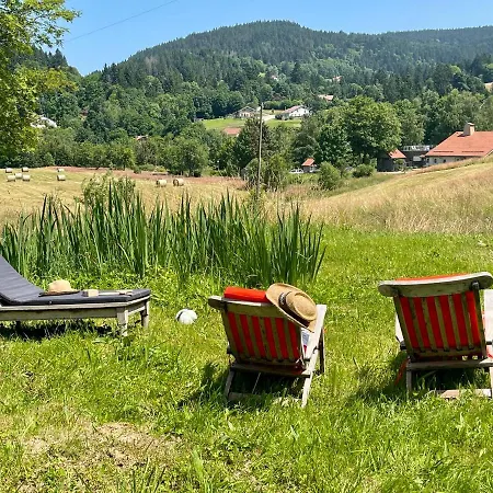 Chalet Chez Odile Avec Sauna * Gerardmer